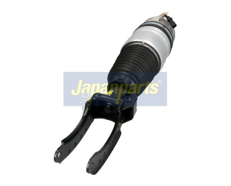 Air Spring Strut, Image 3