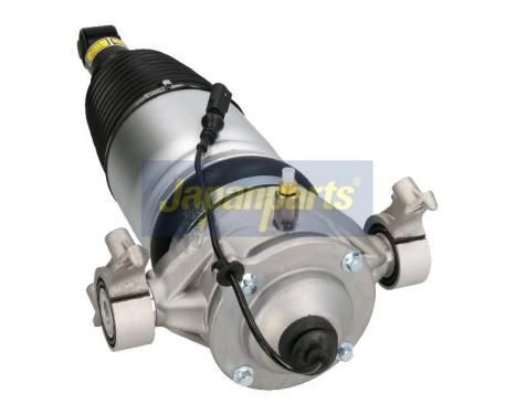 Air Spring Strut, Image 2