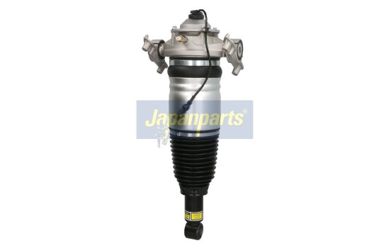 Air Spring Strut