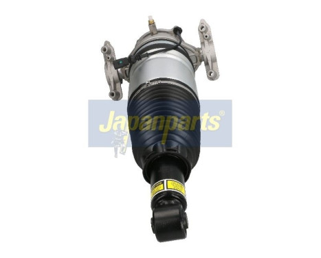 Air Spring Strut, Image 3