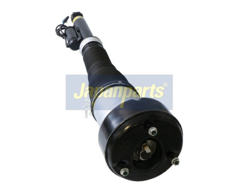 Air Spring Strut, Image 2