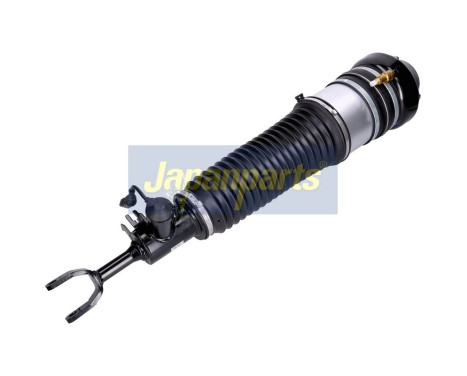 Air Spring Strut, Image 2