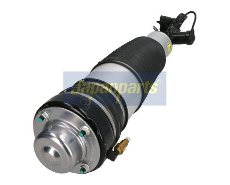 Air Spring Strut, Image 2