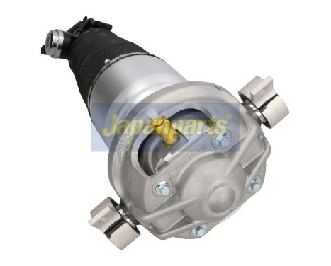 Air Spring Strut, Image 2