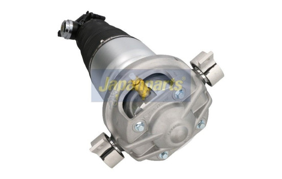 Air Spring Strut, Image 2