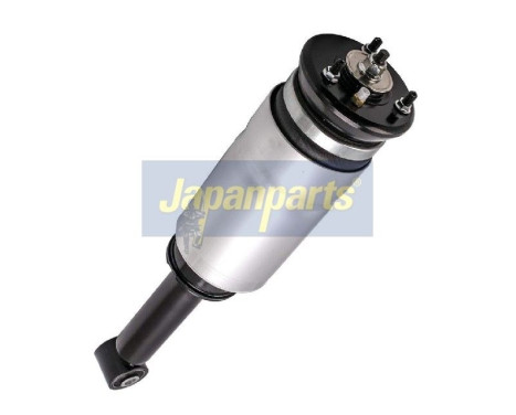 Air Spring Strut, Image 2