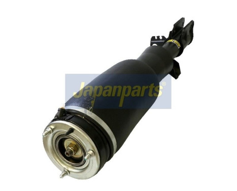 Air Spring Strut, Image 2