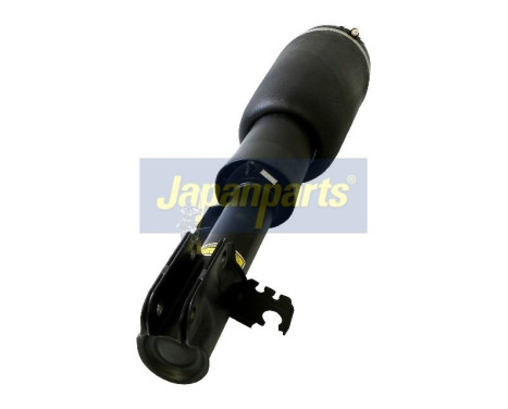 Air Spring Strut, Image 3