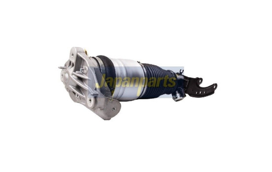 Air Spring Strut, Image 2