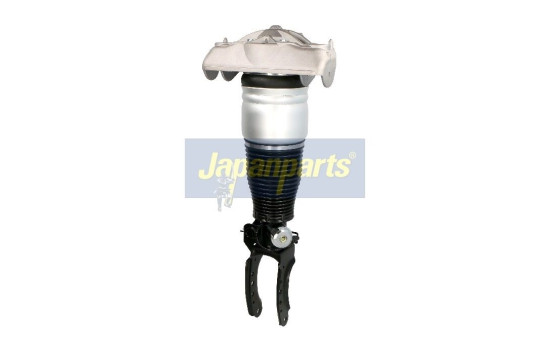 Air Spring Strut, Image 4