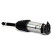 Air Spring Strut