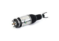 Air Spring Strut