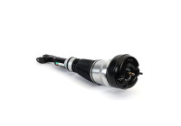 Air Spring Strut