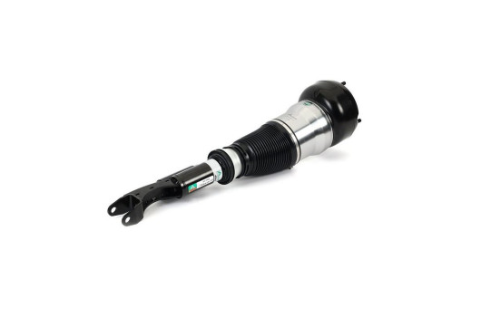 Air Spring Strut, Image 2