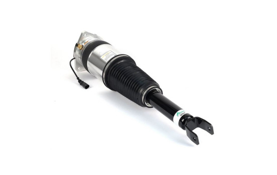 Air Spring Strut, Image 2