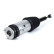 Air Spring Strut