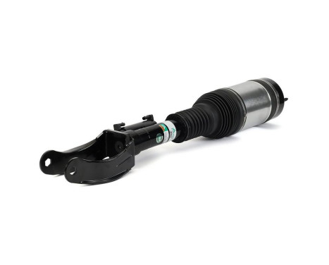 Air Spring Strut, Image 2