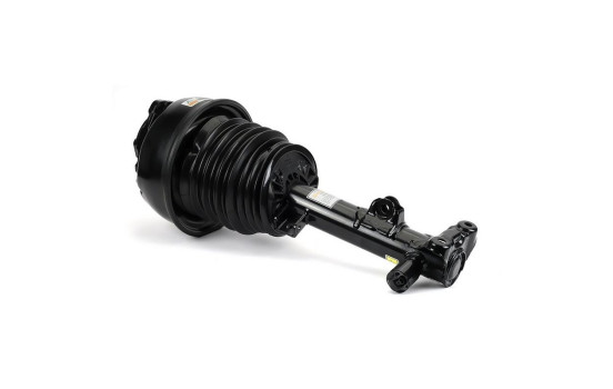 Air Spring Strut, Image 2