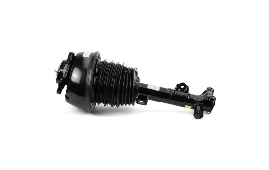 Air Spring Strut, Image 4