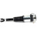 Air Spring Strut, Thumbnail 4