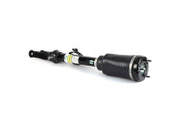 Air Spring Strut