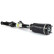 Air Spring Strut