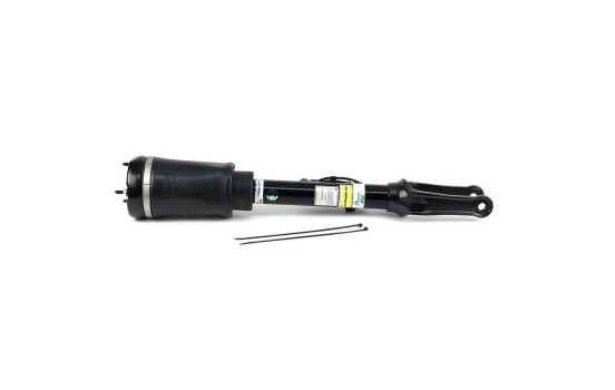 Air Spring Strut, Image 4