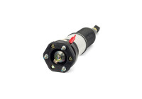 Air Spring Strut