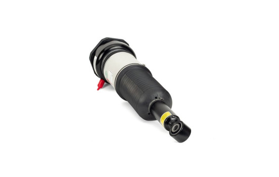 Air Spring Strut, Image 2