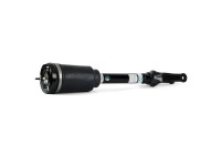 Air Spring Strut