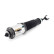 Air Spring Strut
