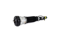 Air Spring Strut