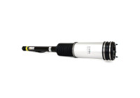 Air Spring Strut