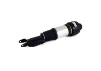 Air Spring Strut