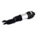 Air Spring Strut