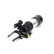 Air Spring Strut, Thumbnail 5