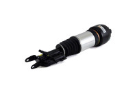 Air Spring Strut