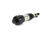 Air Spring Strut