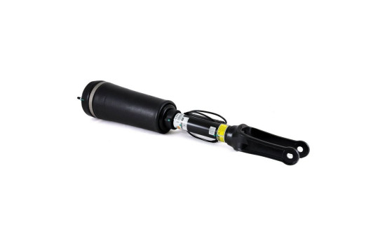 Air Spring Strut