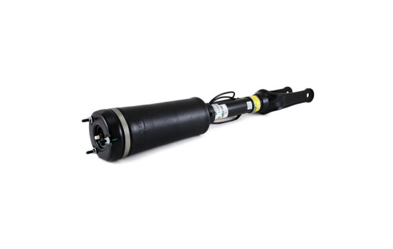 Air Spring Strut, Image 2