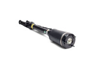 Air Spring Strut