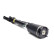 Air Spring Strut