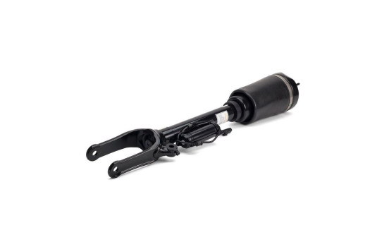 Air Spring Strut, Image 2