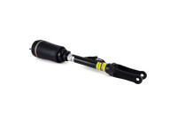 Air Spring Strut
