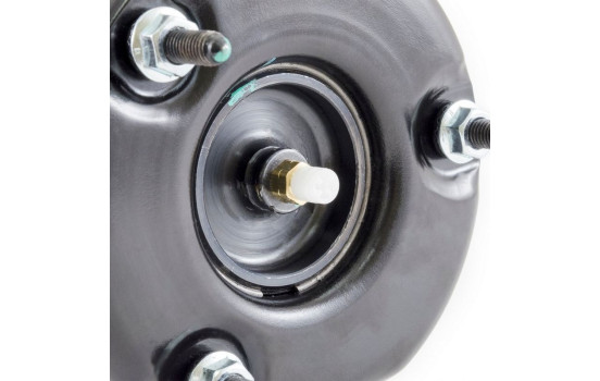 Air Spring Strut, Image 6