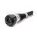 Air Spring Strut