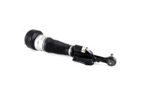 Air Spring Strut