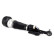 Air Spring Strut