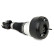 Air Spring Strut, Thumbnail 2