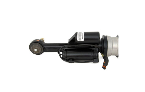 Air Spring Strut, Image 7
